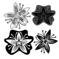 Modern isolated black and white set of illustrations design of lined flower