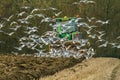 Modern John Deere tractor pulling a plough followed by gulls Royalty Free Stock Photo