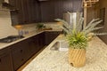 Modern Kitchen Counter Top Island With Plant Royalty Free Stock Photo