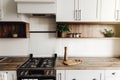 Modern Kitchen design in scandinavian style. stylish light grey Royalty Free Stock Photo