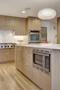 Cabinetry in a contemporary, modern, styled, residential kitchen.