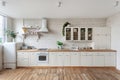 Modern kitchen at home with white interior