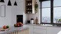 Modern kitchen interior design