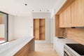 Modern kitchen interior with island and wooden furniture. Empty interior of bright refurbished apartment.