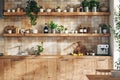 Minimalist Kitchen with Wood Shelves and Green Plants Royalty Free Stock Photo