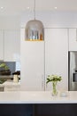 Modern kitchen renovation with chrome pendant light