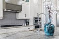 Modern kitchen with stone countertop Royalty Free Stock Photo