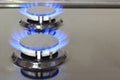 Modern kitchen stove cook with blue flames burning Royalty Free Stock Photo