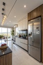 Interior of modern kitchen with stylish refrigerator Royalty Free Stock Photo