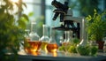 Modern lab equipment with plants and liquids in flasks. Microscope is used for botanical research and analysis. Scientists study Royalty Free Stock Photo