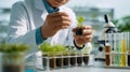 In a modern laboratory experiment, a scientist examines seedlings in soil samples using test tubes and a microscope Royalty Free Stock Photo