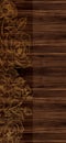 MODERN LAMINATE DOOR SKIN DESIGN