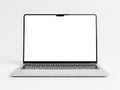 Modern laptop with blank screen Royalty Free Stock Photo