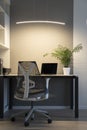 Company office corner with a modern desk, orthopedic chair, up-to-date computer and green flowerpot on a table. Green