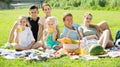 Modern large family of six having picnic on green lawn in park Royalty Free Stock Photo