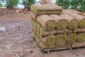 Modern lawn planting technologies in landscape design roll grass close up Royalty Free Stock Photo