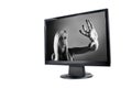 Modern lcd monitor isolated Royalty Free Stock Photo