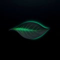 Modern Leaf Energy Pattern for AMOLED Royalty Free Stock Photo