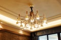 Modern home led chandelier lighting Royalty Free Stock Photo