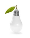 Modern LED lamp with green leaf, ECO energy concept Royalty Free Stock Photo