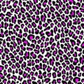 Modern leopard skin