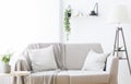 Modern light couch at living room interior, empty space Royalty Free Stock Photo