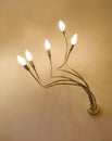 Modern Light Fitting Royalty Free Stock Photo