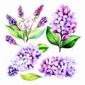 Soothing Shades of Lilac: Watercolor Stock Photo Perfect for Any Project Ai Generate
