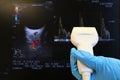 Modern linear ultrasound diagnostic probe held in doctor hand in blue glove with doppler neuro-ocular ultrasound scan