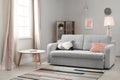 Modern living room interior with comfortable sofa Royalty Free Stock Photo