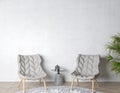 Modern living room interior design, two gray chairs, rug and green plant in empty background Royalty Free Stock Photo