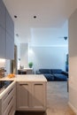 Modern living room interior in grey colours with cosy sofa. View from the corner kitchen