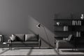 Modern living room interior, grey wall. Black 2 sitter sofa with cushion and one armchair, coffee table, bookshelves and lamp.