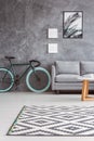 Gray sofa and stylish bicycle