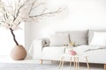 modern living room with white sofa, vase with dried flowers and coffee table