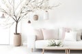 modern living room with white sofa, vase with dried flowers and coffee table