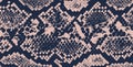 Seamless pink blue snake skin repeat pattern