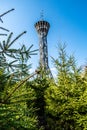 Modern lookout tower on the top of the hill covered in the grove