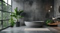 Modern luxury bathroom interior with green plants, window and concrete walls in tropical house or building. Theme of contemporary Royalty Free Stock Photo