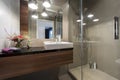 Modern luxury bathroom with shower Royalty Free Stock Photo