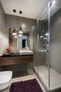 Modern luxury bathroom with shower