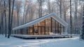 Modern luxury chic large villa house in a natural forest environment winter landscape