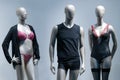 Modern and luxury shop of underwear. Full-length male and female mannequins in nderwear. Lingerie on plastic dolls in store window Royalty Free Stock Photo