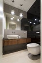 Modern luxury toilet room