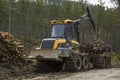 Modern machine forestry autoloader in a forest