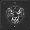 Modern magic witchcraft card with astrology Aries zodiac sign. Realistic hand drawing ram or mouflon head Royalty Free Stock Photo