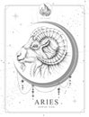 Modern magic witchcraft card with astrology Aries zodiac sign. Realistic hand drawing ram or mouflon head Royalty Free Stock Photo