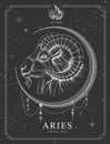 Modern magic witchcraft card with astrology Aries zodiac sign. Realistic hand drawing ram or mouflon head Royalty Free Stock Photo