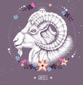 Modern magic witchcraft card with astrology Aries zodiac sign. Realistic hand drawing ram or mouflon head Royalty Free Stock Photo