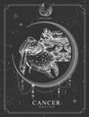 Modern magic witchcraft card with astrology Cancer zodiac sign. Realistic hand drawing crab illustration Royalty Free Stock Photo